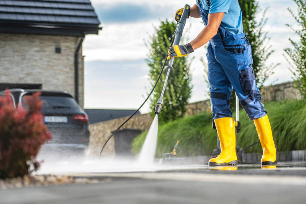 Best Soft Washing  in Olney, IL